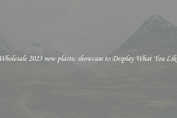 Wholesale 2023 new plastic showcase to Display What You Like