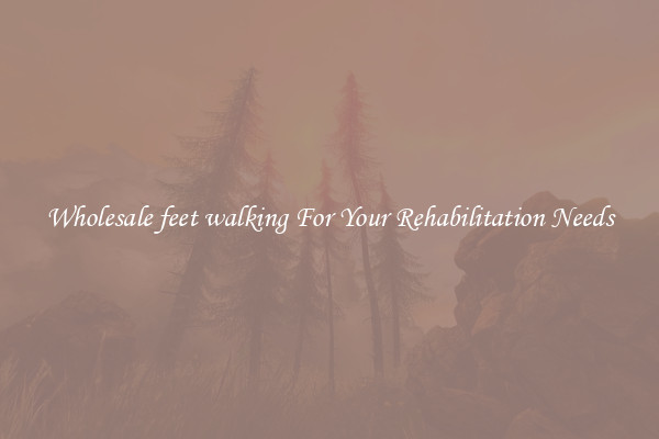 Wholesale feet walking For Your Rehabilitation Needs