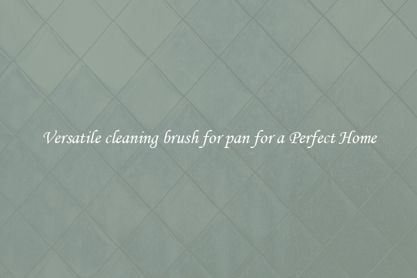 Versatile cleaning brush for pan for a Perfect Home
