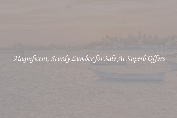Magnificent, Sturdy Lumber for Sale At Superb Offers