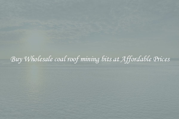 Buy Wholesale coal roof mining bits at Affordable Prices