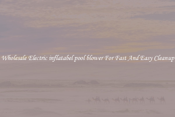 Wholesale Electric inflatabel pool blower For Fast And Easy Cleanup