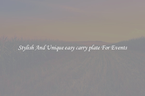 Stylish And Unique easy carry plate For Events
