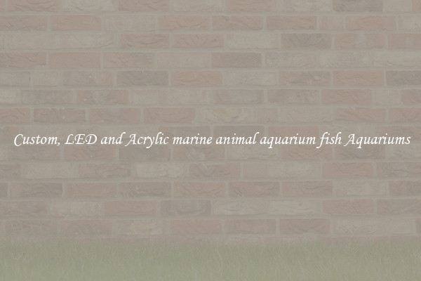 Custom, LED and Acrylic marine animal aquarium fish Aquariums
