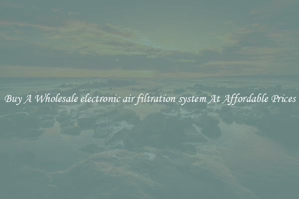 Buy A Wholesale electronic air filtration system At Affordable Prices