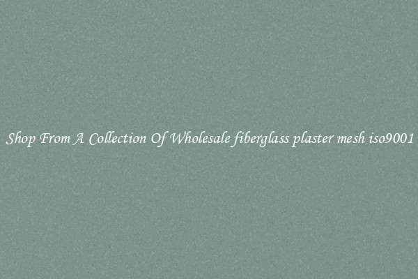 Shop From A Collection Of Wholesale fiberglass plaster mesh iso9001