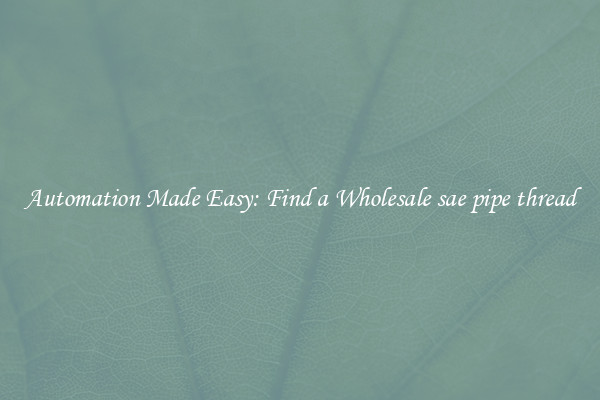  Automation Made Easy: Find a Wholesale sae pipe thread 