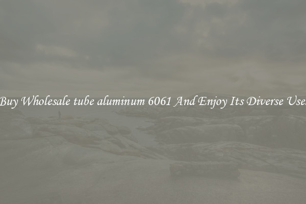 Buy Wholesale tube aluminum 6061 And Enjoy Its Diverse Uses