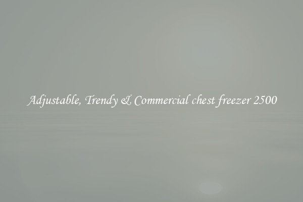 Adjustable, Trendy & Commercial chest freezer 2500
