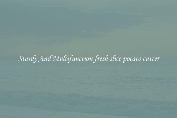 Sturdy And Multifunction fresh slice potato cutter