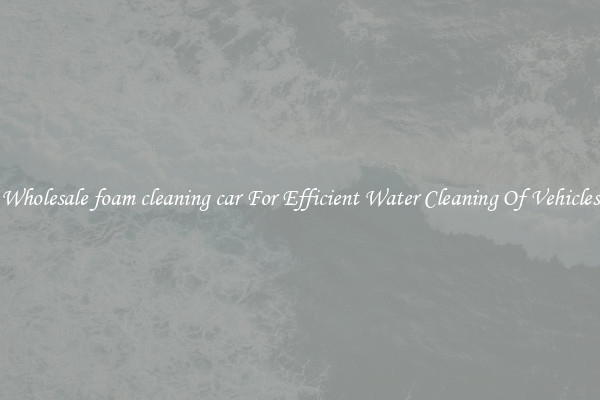 Wholesale foam cleaning car For Efficient Water Cleaning Of Vehicles
