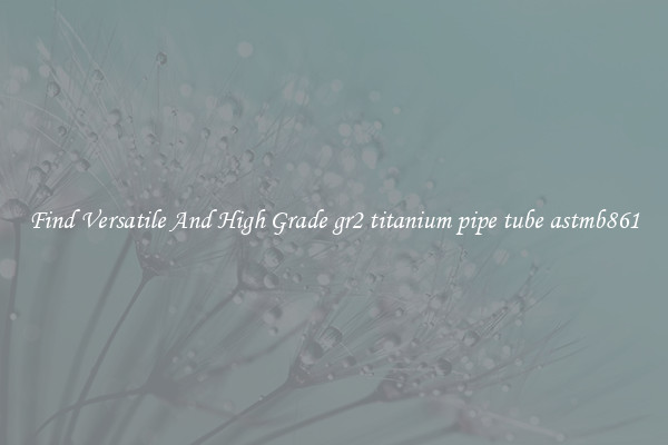 Find Versatile And High Grade gr2 titanium pipe tube astmb861