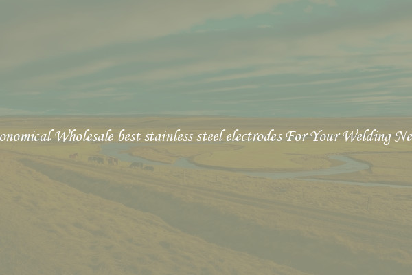 Economical Wholesale best stainless steel electrodes For Your Welding Needs