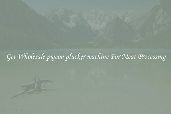 Get Wholesale pigeon plucker machine For Meat Processing
