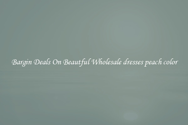 Bargin Deals On Beautful Wholesale dresses peach color