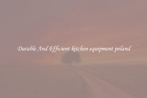 Durable And Efficient kitchen equipment poland