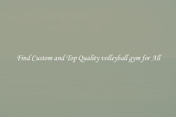 Find Custom and Top Quality volleyball gym for All