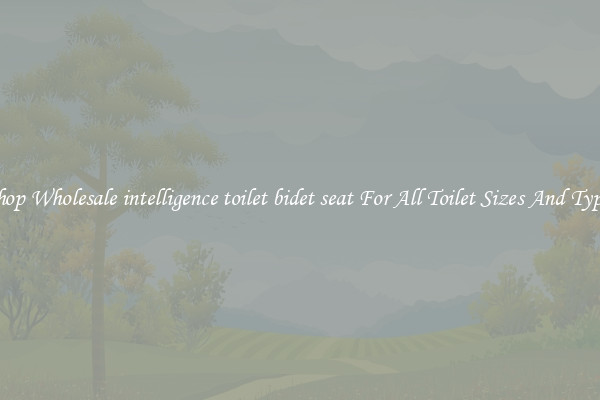 Shop Wholesale intelligence toilet bidet seat For All Toilet Sizes And Types